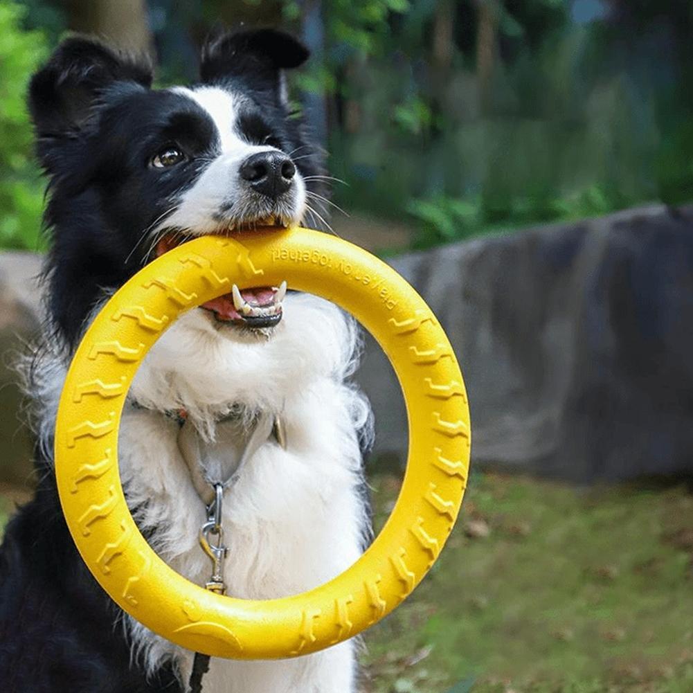 Indestructible Dog Chew Toy - ألعاب خواتم للكلاب، غير قابلة للتدمير،