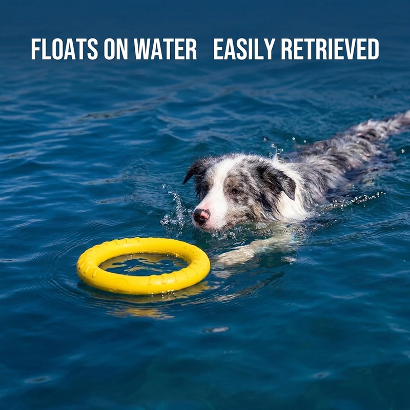 ألعاب الكلاب، أقراص طائرة للحي - مراجعة Flying Disc Dog Training Toy وسعره