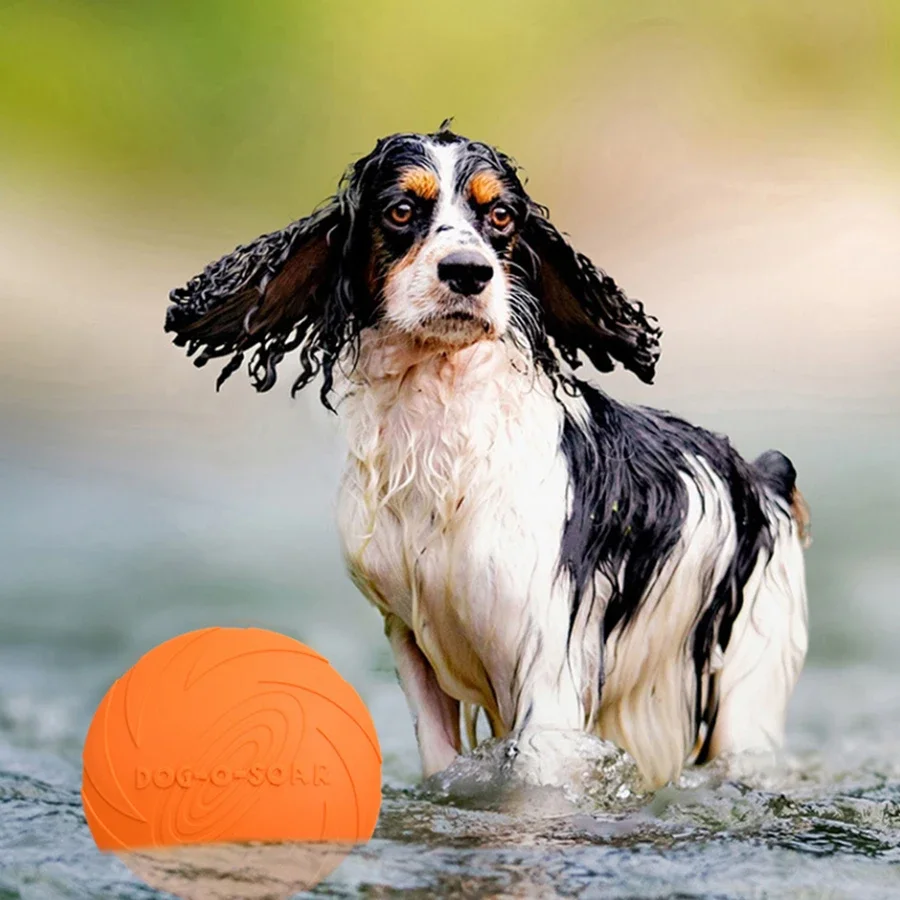 لعبة قرص طائر للكلاب الكبيرة ذ - مراجعة Flying Disc Dog Training Toy وسعره