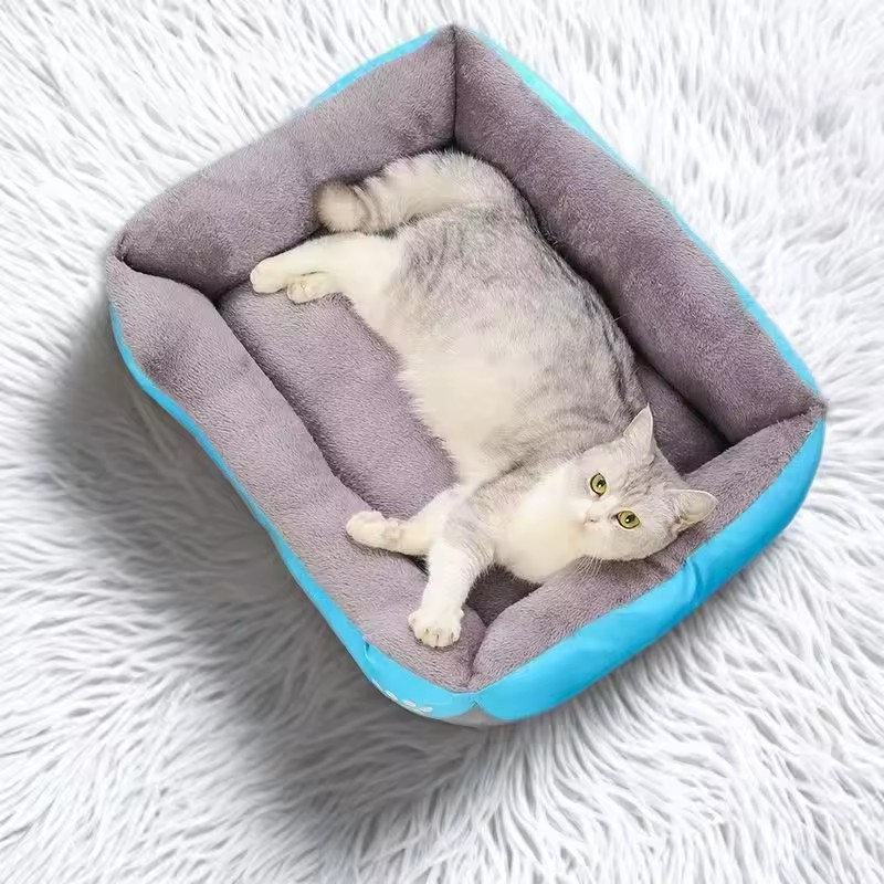 سرير وسادة ناعمة من القطيفة لل - مراجعة Interactive Squeaky Plush Dog Toy وسعره