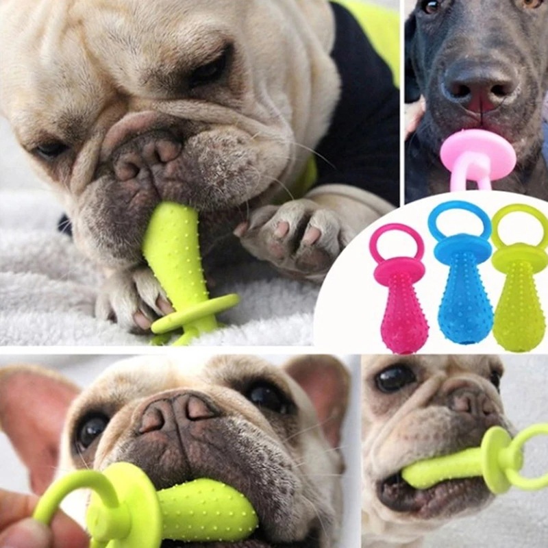 ألعاب للحيوانات الأليفة للكلاب - مراجعة Interactive Squeaky Plush Dog Toy وسعره