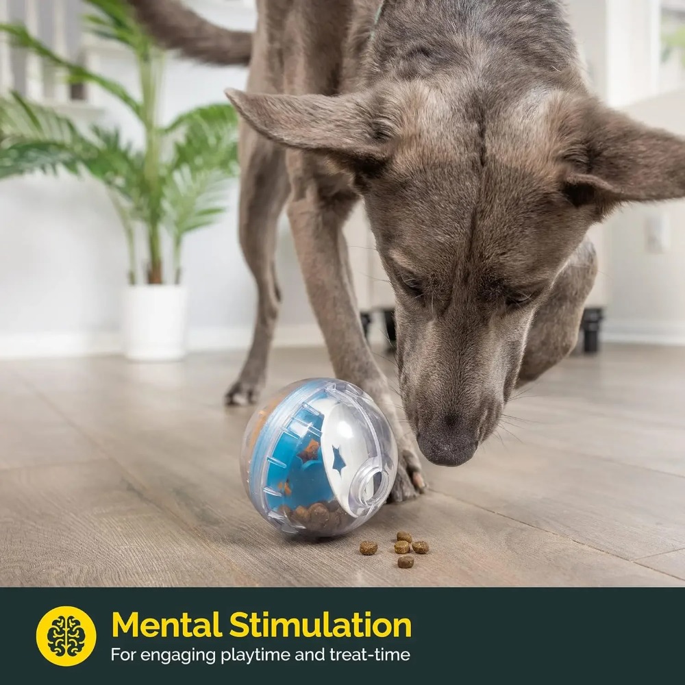 كرة IQ Treat Ball لتوزيع المكا - مراجعة Indestructible Dog Chew Toy وسعره